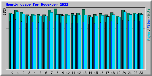 Hourly usage for November 2022