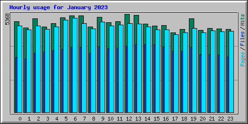 Hourly usage for January 2023