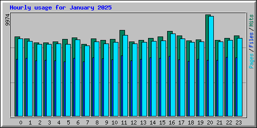 Hourly usage for January 2025