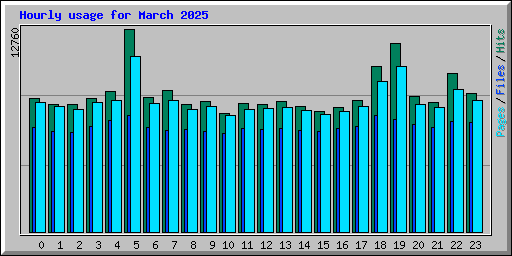 Hourly usage for March 2025