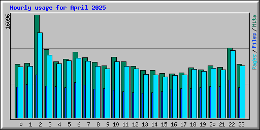 Hourly usage for April 2025