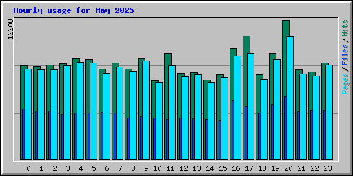 Hourly usage for May 2025