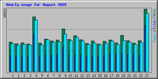 Hourly usage for August 2025