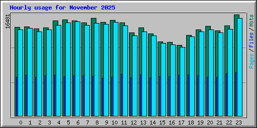 Hourly usage for November 2025