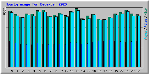 Hourly usage for December 2025