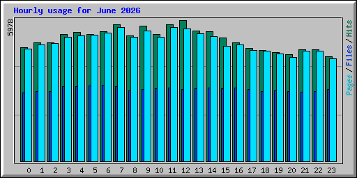 Hourly usage for June 2026