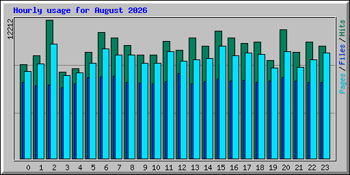 Hourly usage for August 2026